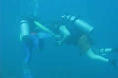 IMG_0086-.Medium