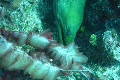 IMG_0119-.Medium