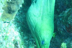 IMG_0120-.Medium