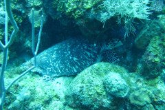 IMG_0125-.Medium