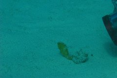 IMG_0126-.Medium