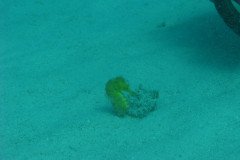 IMG_0127-.Medium