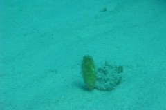 IMG_0128-.Medium