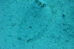 IMG_0140-.Medium