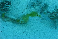 IMG_0141-.Medium