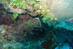 IMG_0157-.Medium
