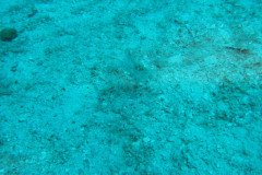 IMG_0896-.Medium