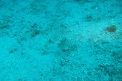 IMG_0897-.Medium