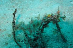 IMG_0898-.Medium