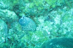 IMG_0909-.Medium