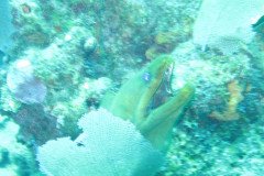 IMG_0916-.Medium
