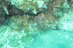 IMG_0919-.Medium