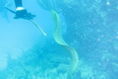 IMG_0922-.Medium