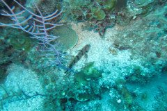 IMG_0924-.Medium