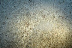 IMG_0933-.Medium