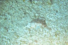 IMG_0937-.Medium