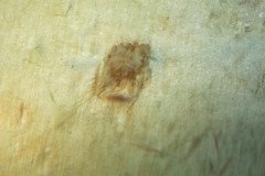 IMG_0940-.Medium