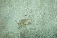 IMG_0945-.Medium