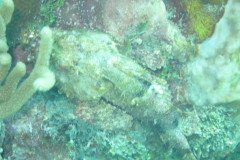 IMG_0957-.Medium