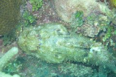 IMG_0960-.Medium