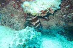 IMG_0973-.Medium