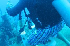 IMG_0999-.Medium