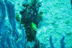 IMG_1002-.Medium