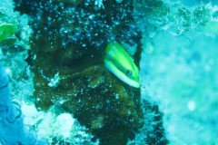 IMG_1003-.Medium