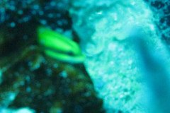 IMG_1004-.Medium