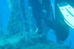 IMG_1006-.Medium