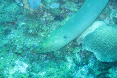 IMG_1011-.Medium