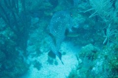 IMG_1017-.Medium