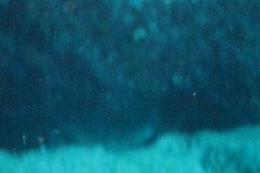IMG_1022-.Medium