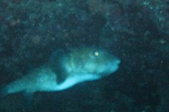 IMG_1023-.Medium