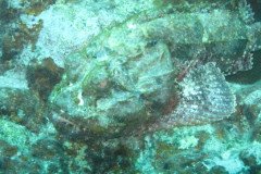 IMG_1024-.Medium