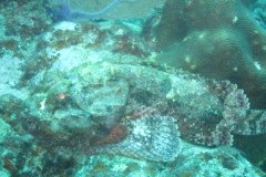 IMG_1025-.Medium