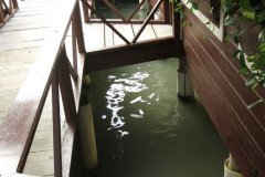 IMG_2359-.Medium