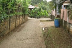 IMG_2361-.Medium