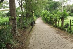 IMG_2367-.Medium