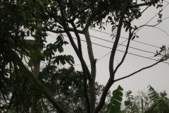 IMG_2368-.Medium