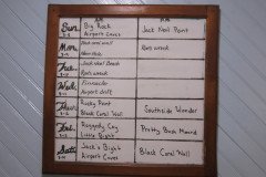 IMG_2369-.Medium