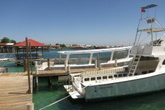 IMG_2374-.Medium