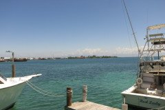 IMG_2375-.Medium