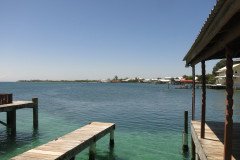 IMG_2376-.Medium