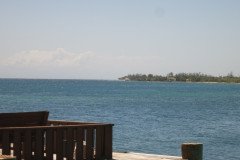 IMG_2377-.Medium