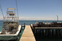 IMG_2378-.Medium