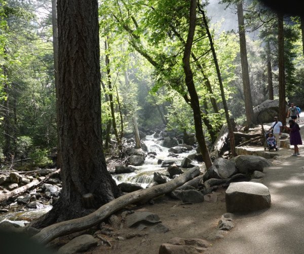 Yosemite NP