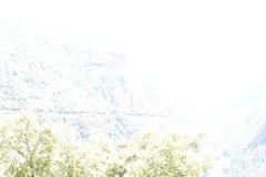 DSC03910-.Medium
